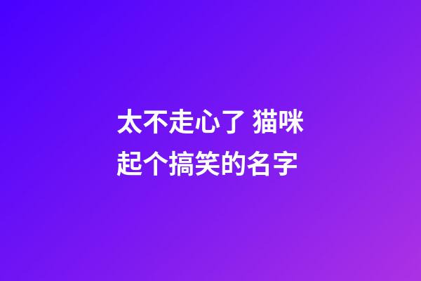 太不走心了 猫咪起个搞笑的名字